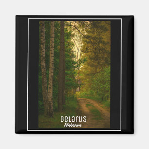 Natuur Forest Rural Hut Village Belarus Onbekend Magneet