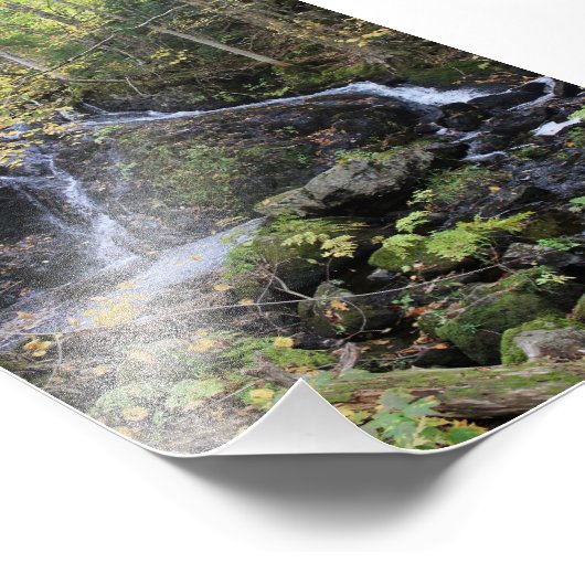 Natuur Foto Afdruk (Hoek)