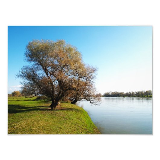 natuur foto afdruk (Voorkant)
