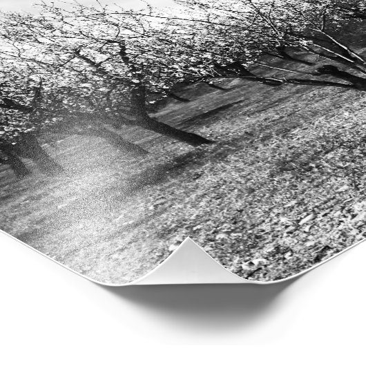 natuur foto afdruk (Hoek)