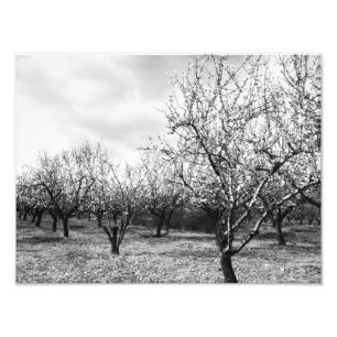 natuur foto afdruk