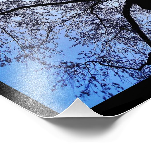 Natuur Foto Afdruk (Hoek)