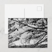 Natuur foto op Briefkaart (Voorkant / Achterkant)