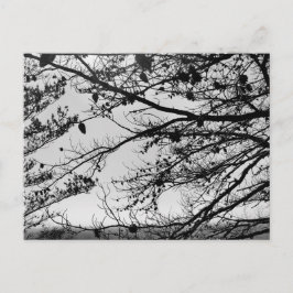 Natuur foto op Briefkaart