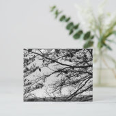 Natuur foto op Briefkaart (Staand voorkant)