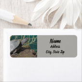 Natuur Foto Reptile Lake Animal Address Etiket (Insitu)
