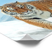 Natuur Foto Snow Winter Tiger Mountains Print (Hoek)
