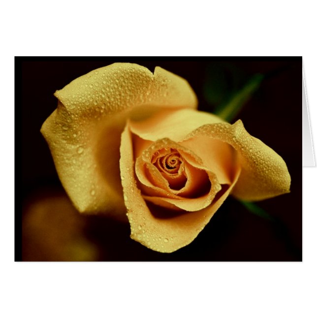 Natuur fotografie (Voorkant Horizontaal)