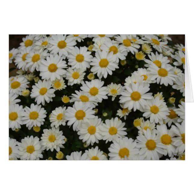 Natuur fotografie (Voorkant Horizontaal)