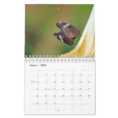 Natuur fotografie agenda kalender (Mar 2026)