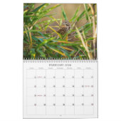 Natuur Fotografie bij Thuis door Timothy Harris Kalender (Feb 2026)