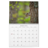 Natuur Fotografie bij Thuis door Timothy Harris Kalender (Mar 2026)