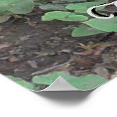 Natuur Fotografie boomstam airdeur Poster (Hoek)