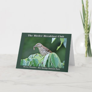 Natuur Fotografie Brown Thrasher Birder Kaart