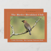 Natuur Fotografie Cedar Waxwing Birder Briefkaart (Voorkant / Achterkant)