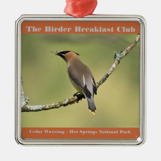 Natuur Fotografie Cedar Waxwing Birder Metalen Ornament (Voorkant)