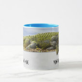 Natuur Fotografie Enorme Gator Panoramisch Uitgesn Mok (Midden)