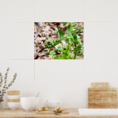 Natuur Fotografie, FIddlehead Fern in Springtime Poster (Keuken)