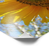 Natuur Fotografie Fine Art Prints Zonnebloemen Foto Afdruk (Hoek)