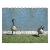 Natuur fotografie kalender (Hoes)