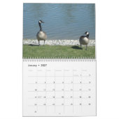 Natuur fotografie kalender (Jan 2027)