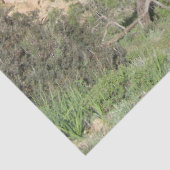 Natuur Fotografie Middellandse-Zegebergte & Zee Tissuepapier (Detail)