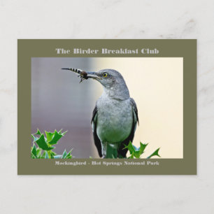 Natuur Fotografie Mockingbird Birder Card Briefkaart