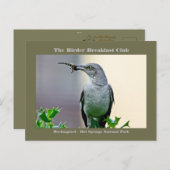 Natuur Fotografie Mockingbird Birder Card Briefkaart (Voorkant / Achterkant)