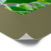 Natuur Fotografie Mockingbird Birder Poster (Hoek)