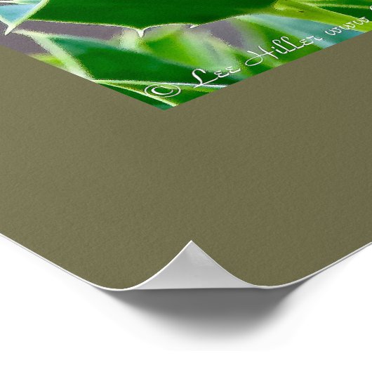 Natuur Fotografie Mockingbird Birder Poster (Hoek)