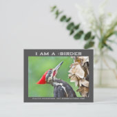 Natuur Fotografie Pileated Woodpecker Birder Card Briefkaart (Staand voorkant)