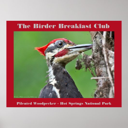 Natuur Fotografie Pileated Woodpecker Birder Poster (Voorkant)