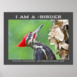 Natuur Fotografie Pileated Woodpecker Birder Poster