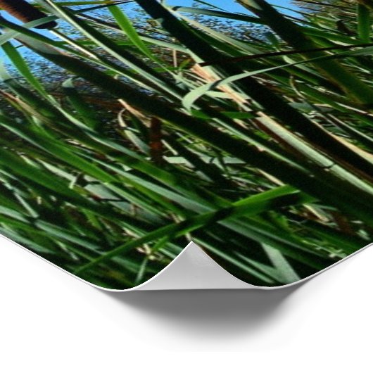 Natuur Fotografie Poster Christelijke scripts (Hoek)