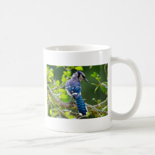 Natuur Fotografie Shy Blue Jay Apparel Giften Koffiemok