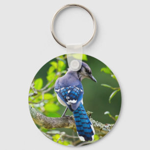 Natuur Fotografie Shy Blue Jay Apparel Giften Sleutelhanger