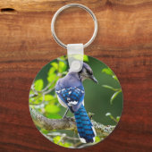 Natuur Fotografie Shy Blue Jay Apparel Giften Sleutelhanger (Voorkant)