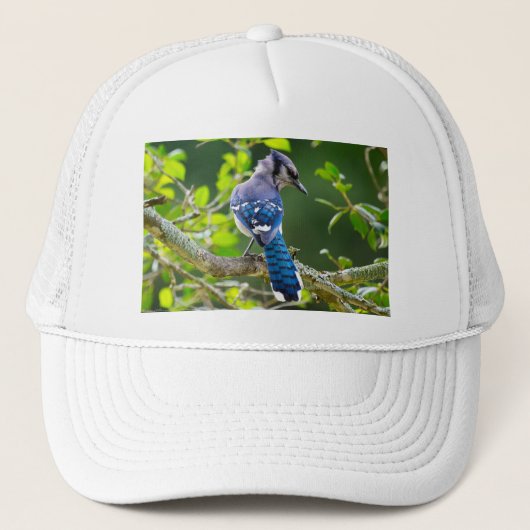 Natuur Fotografie Shy Blue Jay Apparel Giften Trucker Pet (Voorkant)