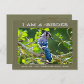 Natuur Fotografie Shy Blue Jay Birder Card Briefkaart (Voorkant / Achterkant)