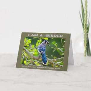 Natuur Fotografie Shy Blue Jay Birder Kaart
