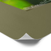 Natuur Fotografie Shy Blue Jay Birder Poster (Hoek)