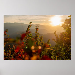 NATUUR FOTOGRAFIE VAN GROENBOMEN OVERLOOKMIJN POSTER