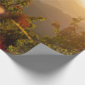 Natuur fotografie van groene bomen die de mond ove cadeaupapier (Hoek)