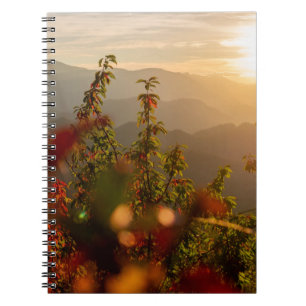 Natuur fotografie van groene bomen die de mond ove notitieboek