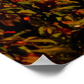 Natuur fotografie van groene bomen die de mond ove poster (Hoek)