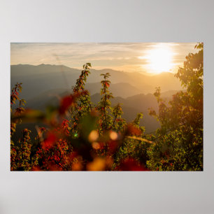 Natuur fotografie van groene bomen die de mond ove poster