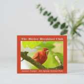 Natuur Fotografie Zomer Tanager Birder Briefkaart (Staand voorkant)