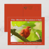 Natuur Fotografie Zomer Tanager Birder Briefkaart (Voorkant / Achterkant)