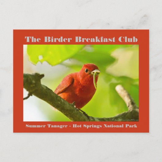Natuur Fotografie Zomer Tanager Birder Briefkaart (Voorkant)
