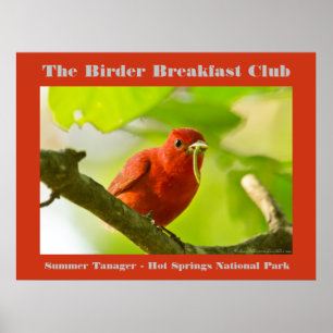 Natuur Fotografie Zomer Tanager Birder Poster